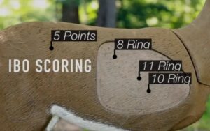ibo 3d scoring